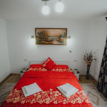 Casa Andreea Si Grigore Ursu Borşa 외부 사진