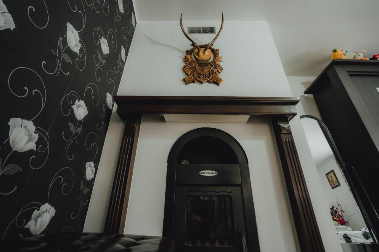 Casa Andreea Si Grigore Ursu Borşa 외부 사진