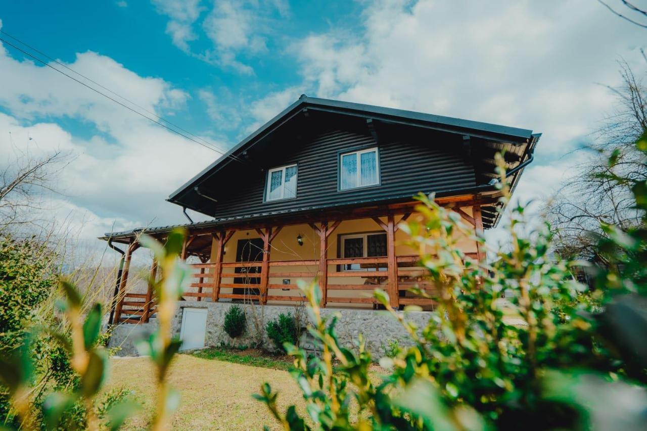 Casa Andreea Si Grigore Ursu Borşa 외부 사진