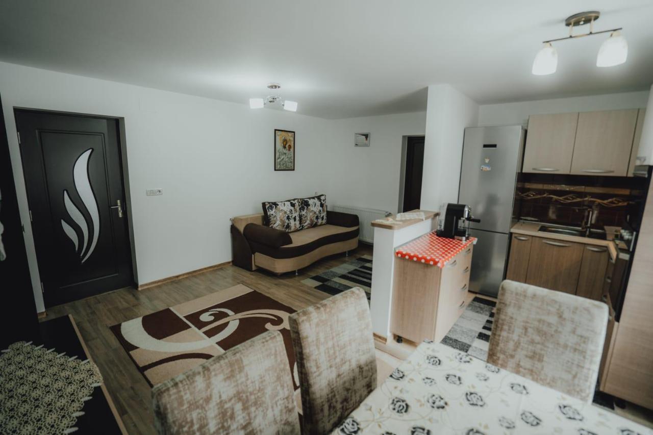 Casa Andreea Si Grigore Ursu Borşa 외부 사진