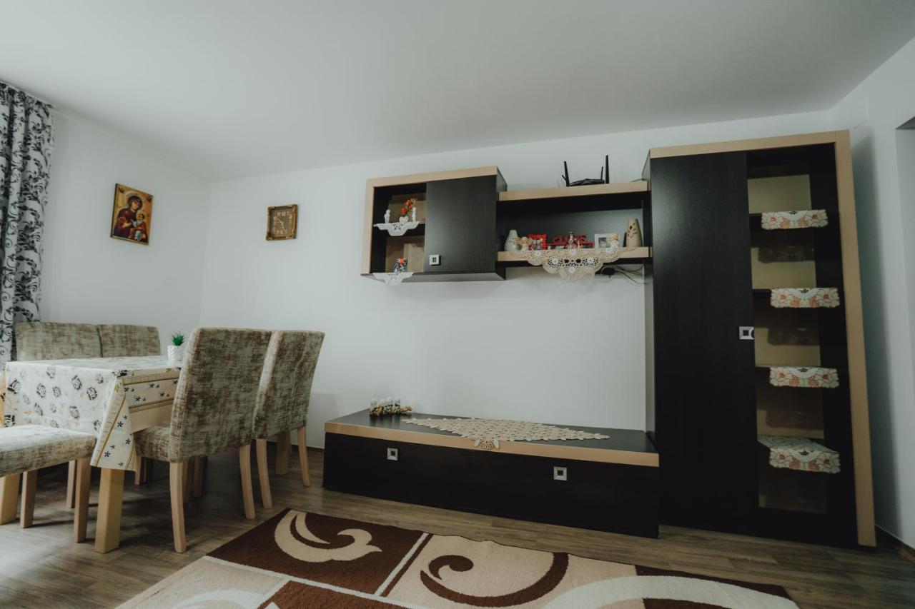 Casa Andreea Si Grigore Ursu Borşa 외부 사진