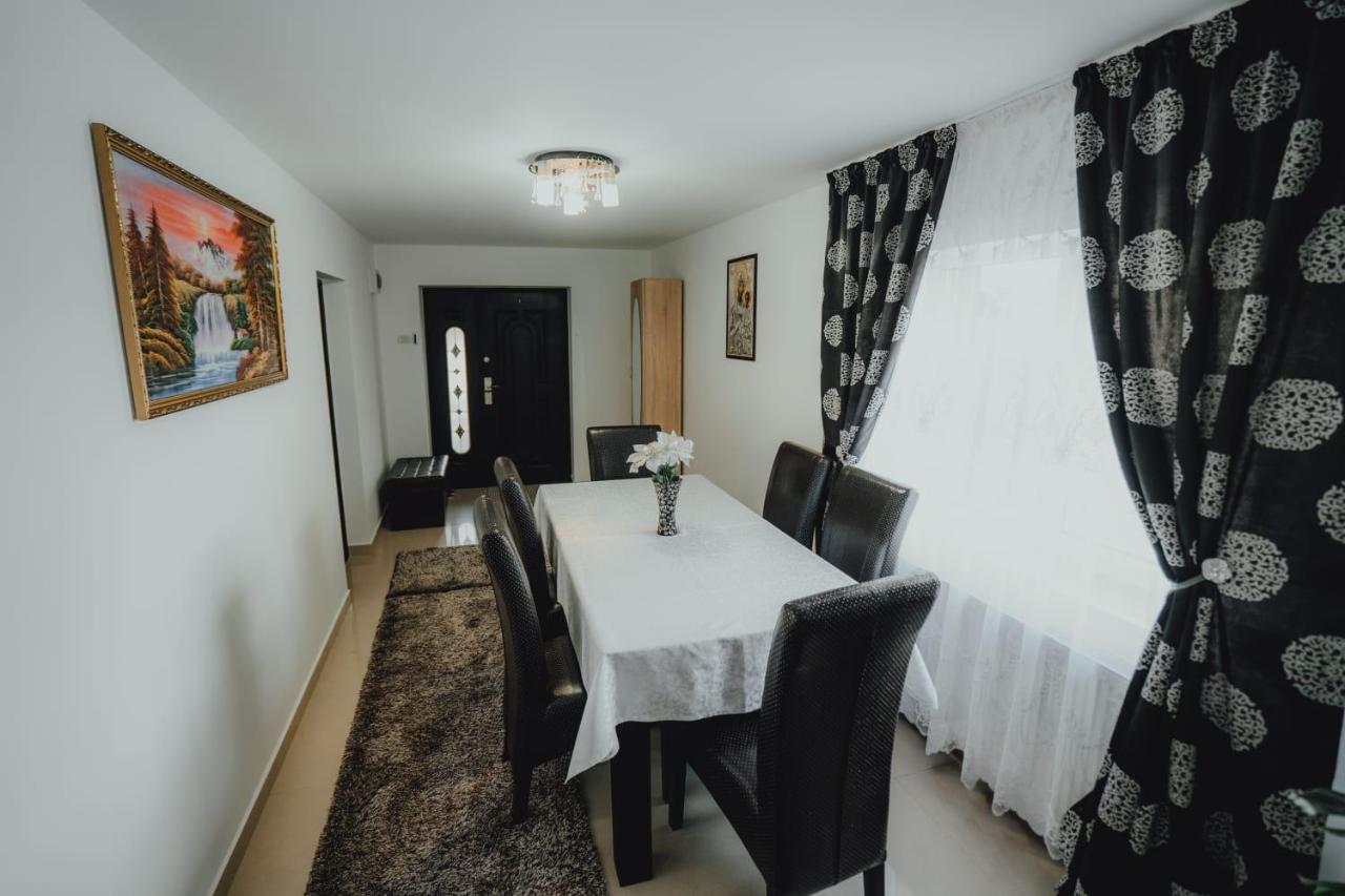 Casa Andreea Si Grigore Ursu Borşa 외부 사진