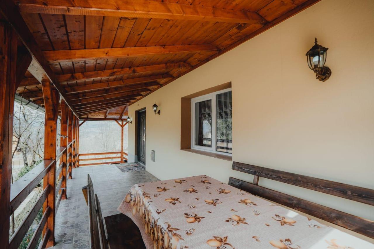 Casa Andreea Si Grigore Ursu Borşa 외부 사진