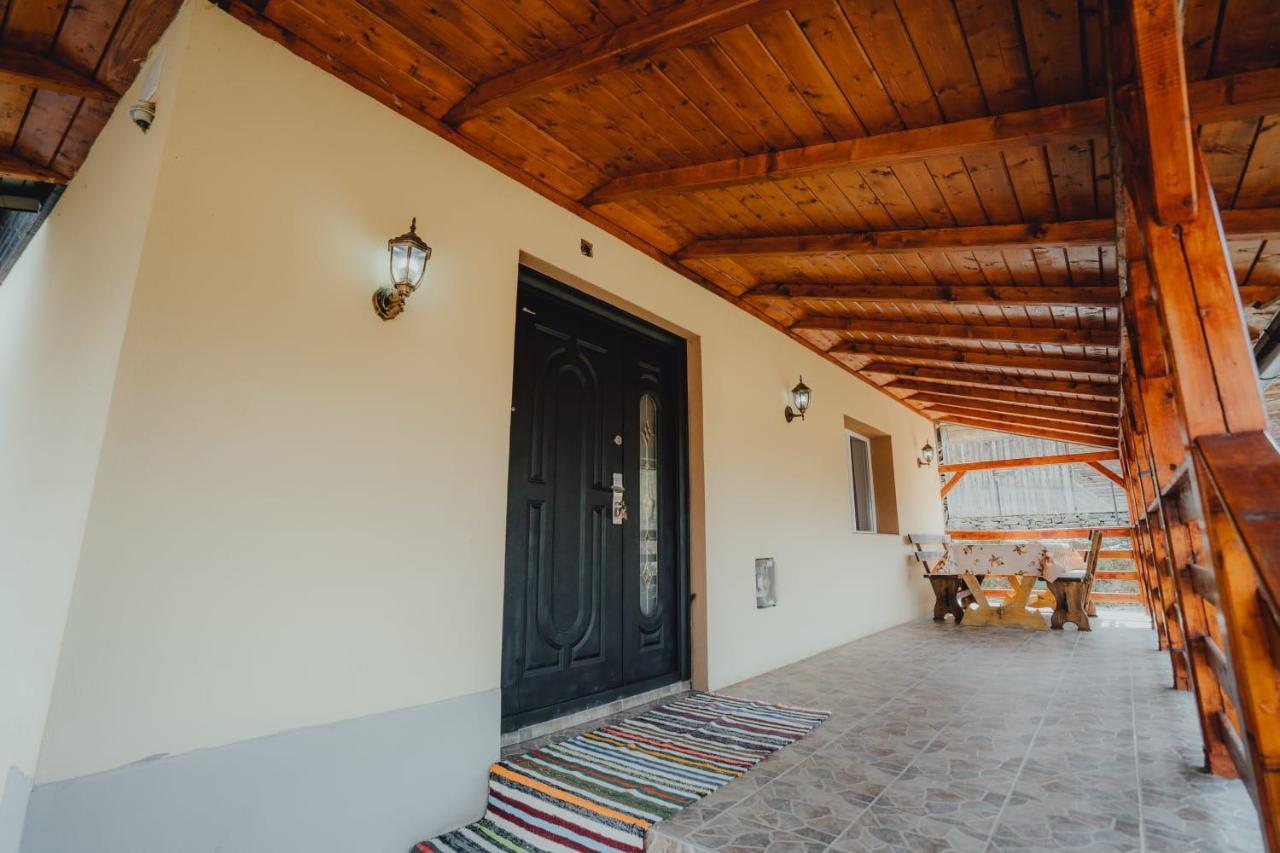 Casa Andreea Si Grigore Ursu Borşa 외부 사진