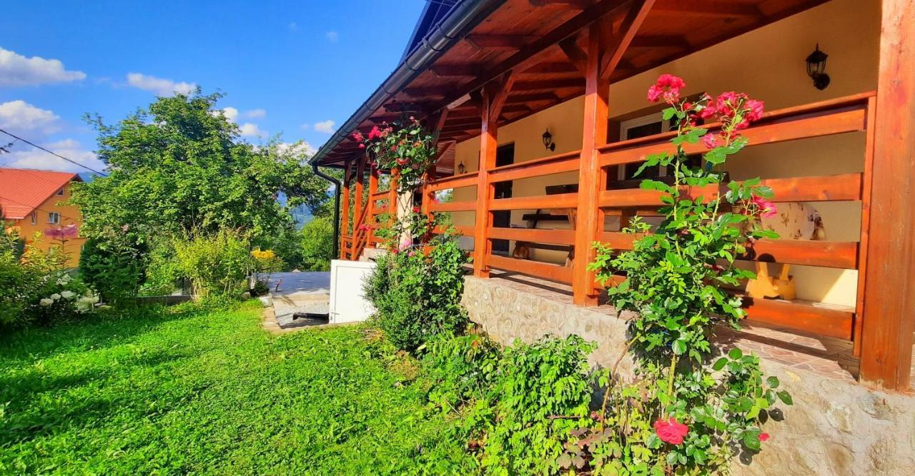 Casa Andreea Si Grigore Ursu Borşa 외부 사진